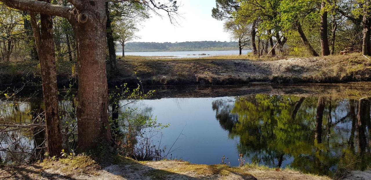 Chambre D'Hotes Entre-Deux Lacs Biscarrosse Eksteriør billede